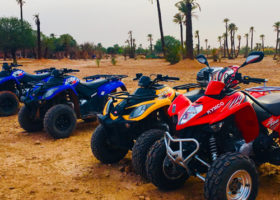 activity-quad-biking-in-marrakech-desert-and-palm-grove